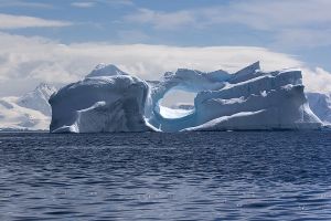 Cuverville Island, Antarctica 107.jpg